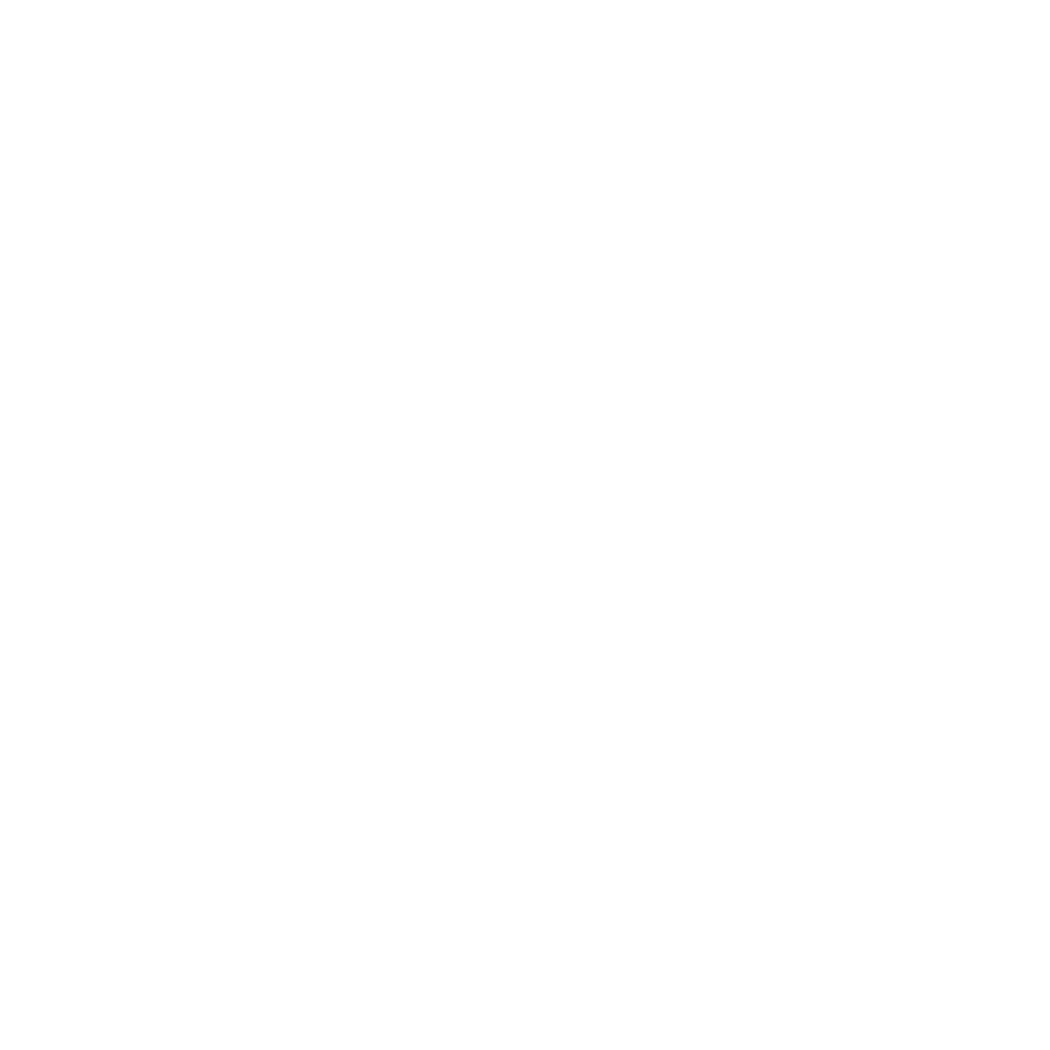 Forever Skies