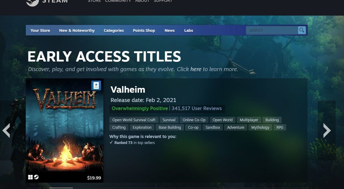 23 top tips to smash your game early access goals