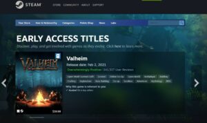 23 top tips to smash your game early access goals