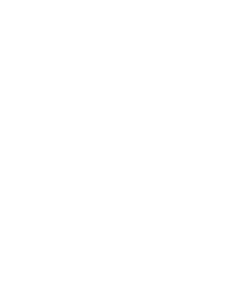 Tribe 29 logo